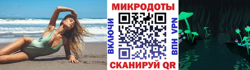 купить закладку  Аркадак  Псилоцибиновые грибы Psilocybe 